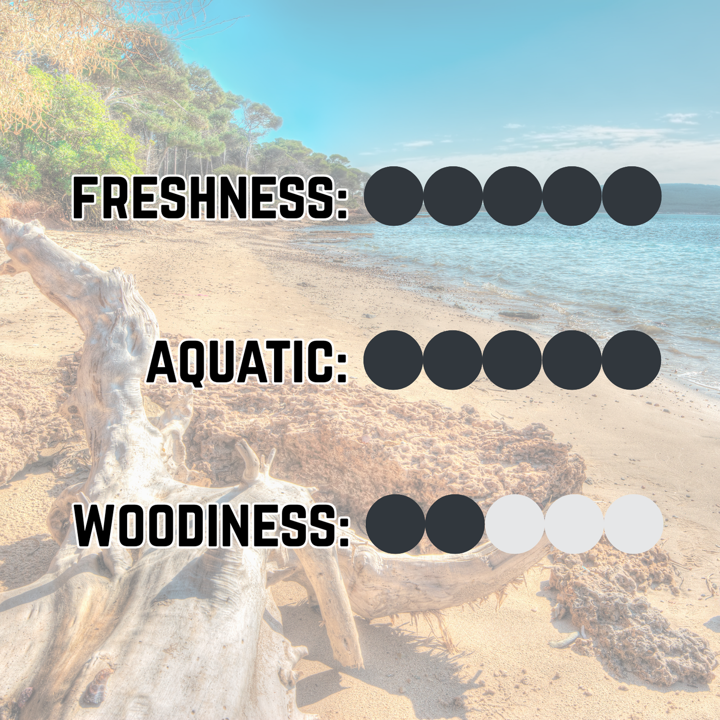 Shoreline Style Essentials Kit | Oil and Balm