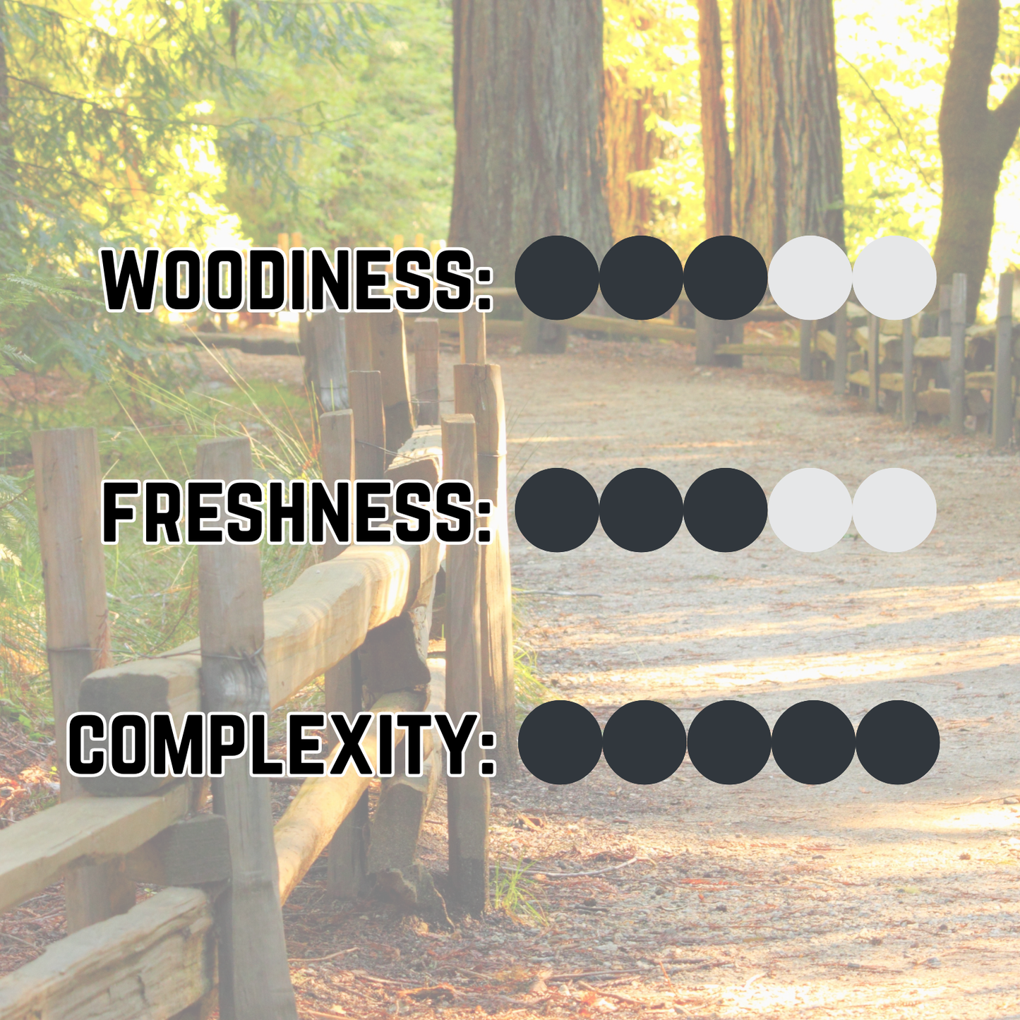 Pathway Style Essentials Kit | Oil and Balm