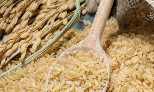 Ingredient Focus: Rice Bran Oil