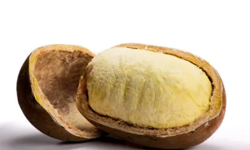 Ingredient Spotlight: Cupuacu Butter in Our Beard Butter