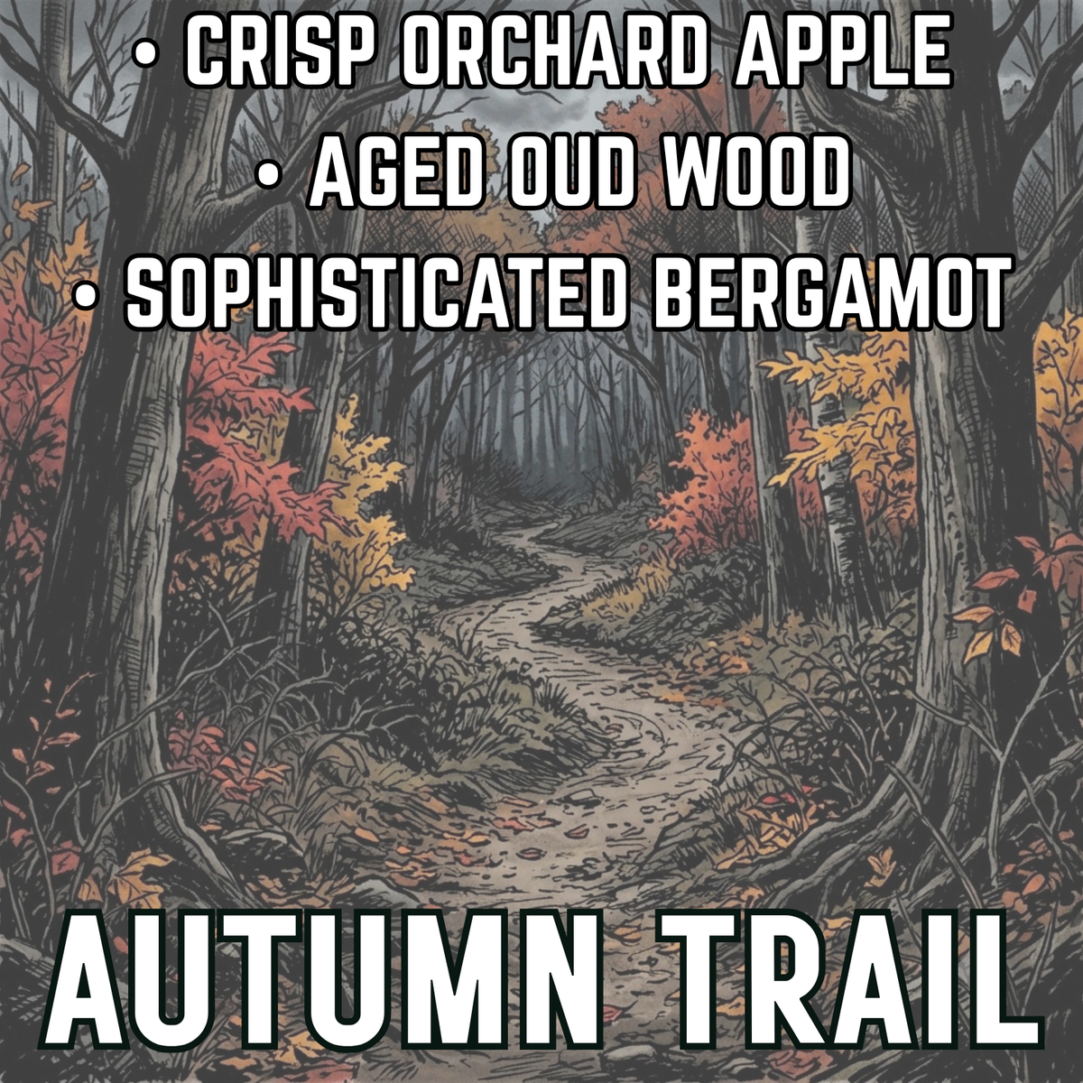 Autumn Trail