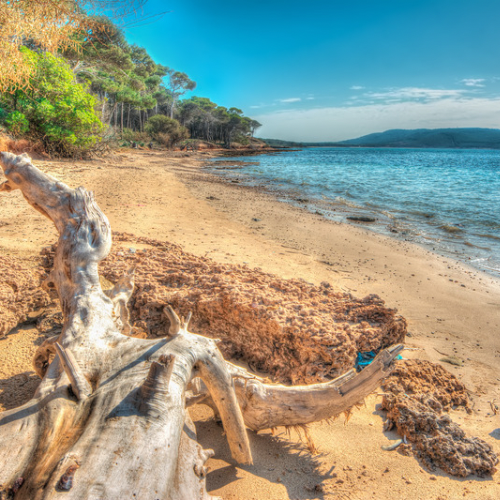 Shoreline