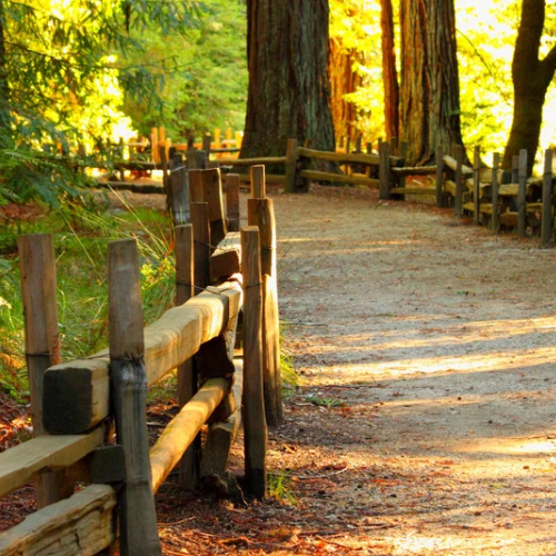 Pathway