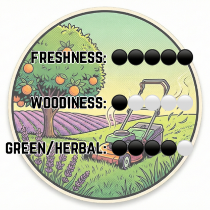 The Meadow (Spring Limited) - Fresh Grass | Wild Clover | Earthy Dew
