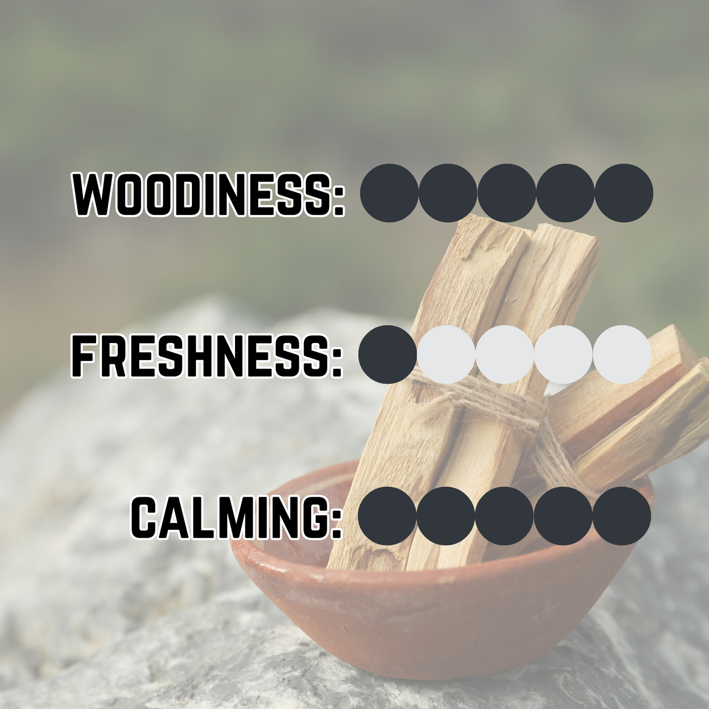 Sacred Forest Solid Cologne - Resinous Palo Santo | Aromatic Sage | Ancient Woods