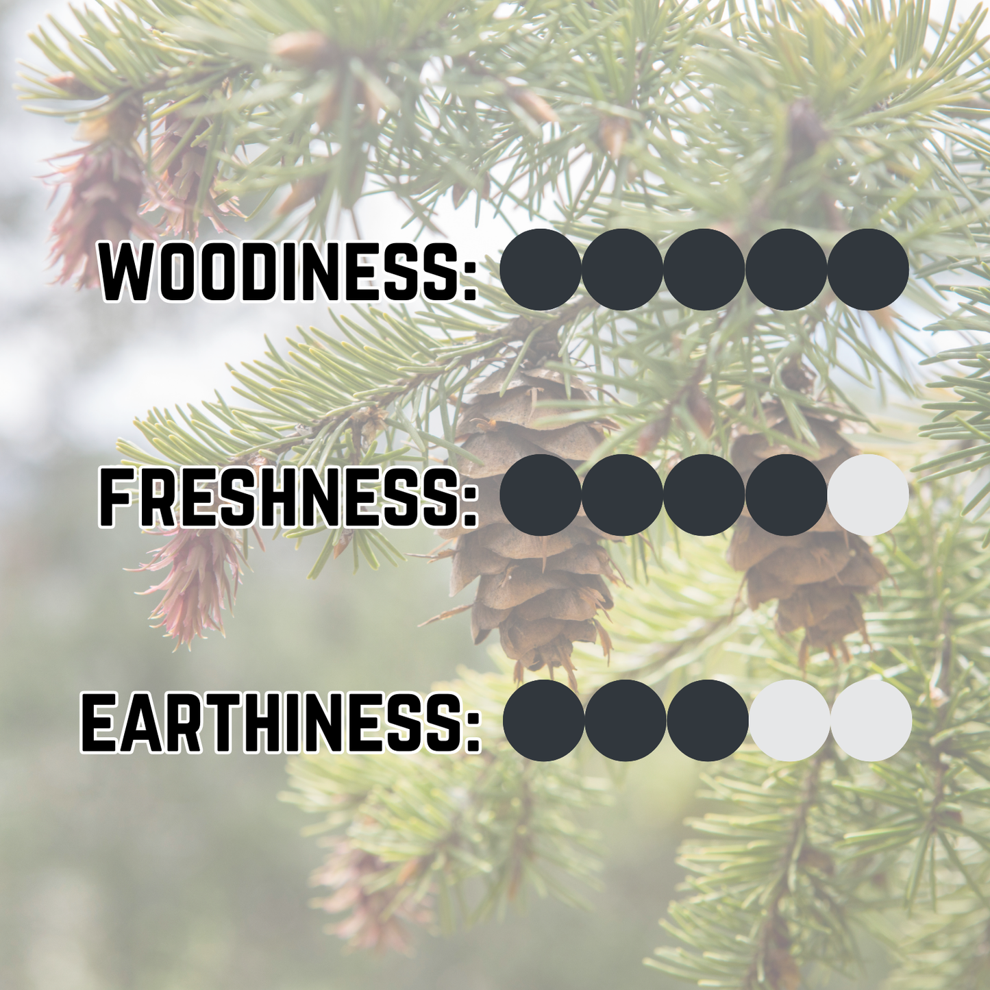 Timberland Solid Cologne - Sharp Pine | Zesty Lime | Fresh-Cut Cedar