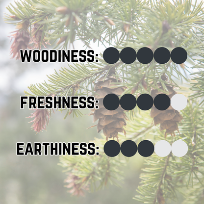 Timberland Solid Cologne - Sharp Pine | Zesty Lime | Fresh-Cut Cedar