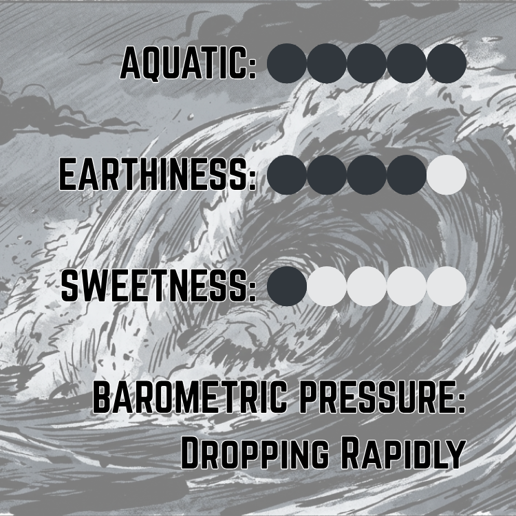 Undertow Beard Oil (Limited Reserve) | Spring Storm • Wet Earth • Dark Amber
